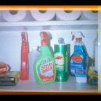Cleaning Shelf